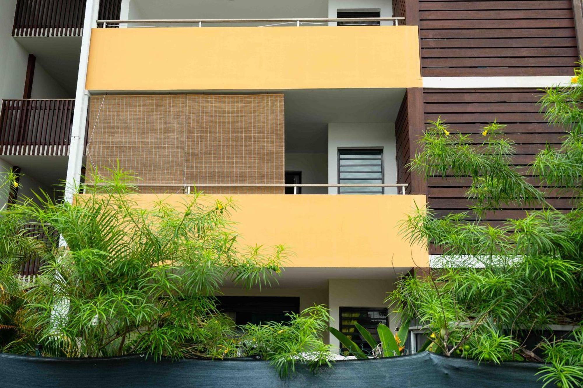 Apartamento Hibiscus Standing- T3 meublé Cosy Cayenne Exterior foto